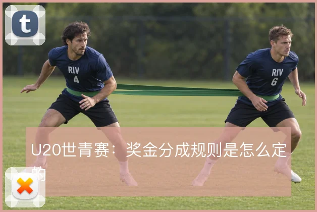 U20世青赛：奖金分成规则是怎么定的