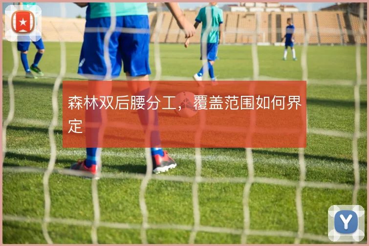 森林双后腰分工,覆盖范围如何界定