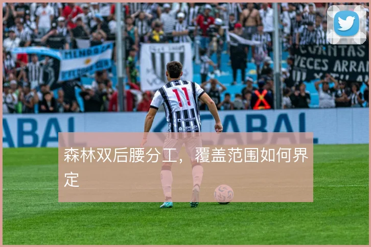 森林双后腰分工,覆盖范围如何界定