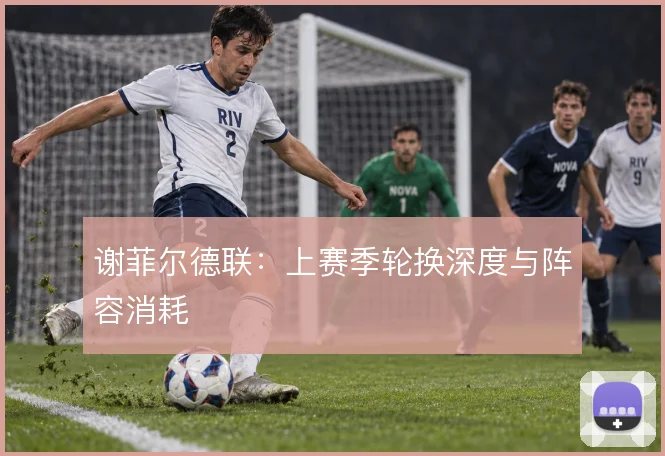 谢菲尔德联:上赛季轮换深度与阵容消耗