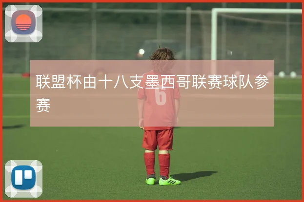 联盟杯由十八支墨西哥联赛球队参赛
