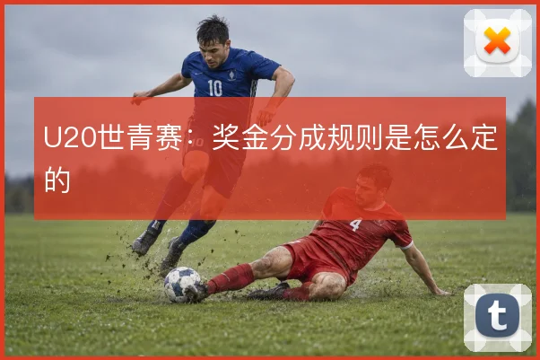 U20世青赛：奖金分成规则是怎么定的