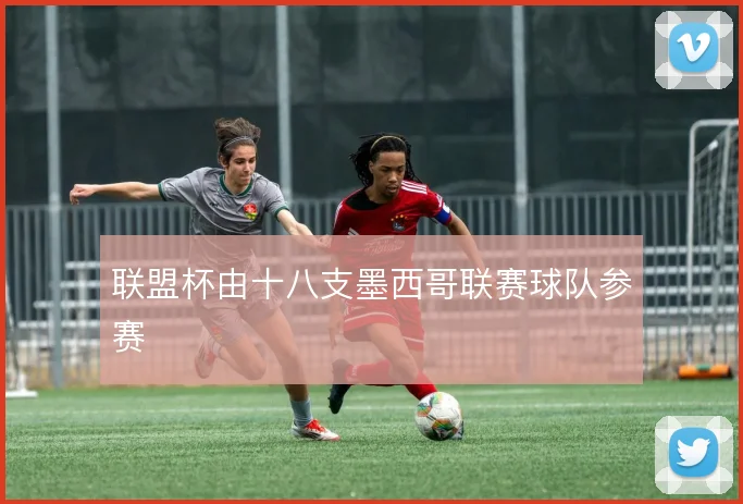 联盟杯由十八支墨西哥联赛球队参赛